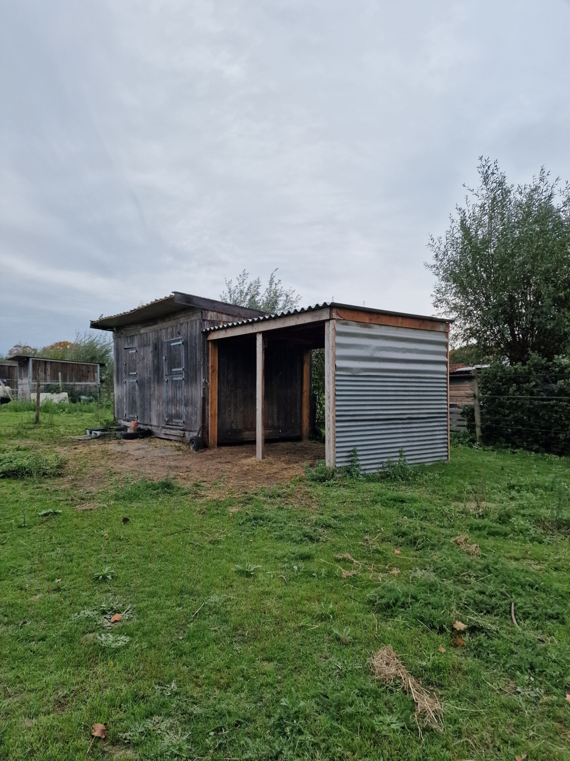 Image 5